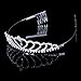 Foxnovo Delicate Wedding Bridal Prom Shining Rhinestones Crown Tiara with Comb
