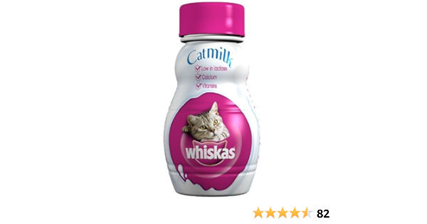 cat milk amazon