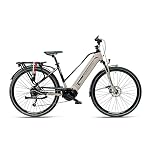 Ebike Offerte | F.lli Schiano E- Mercury, Bicicletta elettrica Unisex  Adulto, Nera, 29''