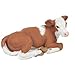 Produktbild Papo 51143 Liegendes Simmentaler-Kalb, Spiel