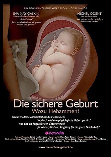 Preisvergleich Produktbild Die sichere Geburt