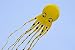 Produktbild Metropolis Octopus Kite 8m (Gelb)