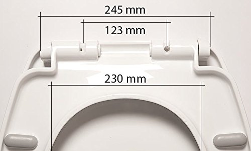 WC Sitz mit Deckel und Softclose ink. Edelstahlscharniere Absenkautomatik Deckel - 4