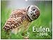 Eulen - Kalender 2018 by 