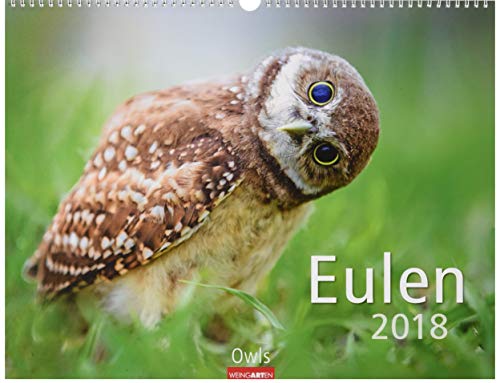Eulen - Kalender 2018