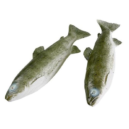 Deko-Woerner Forelle, 33x9cm, 2St