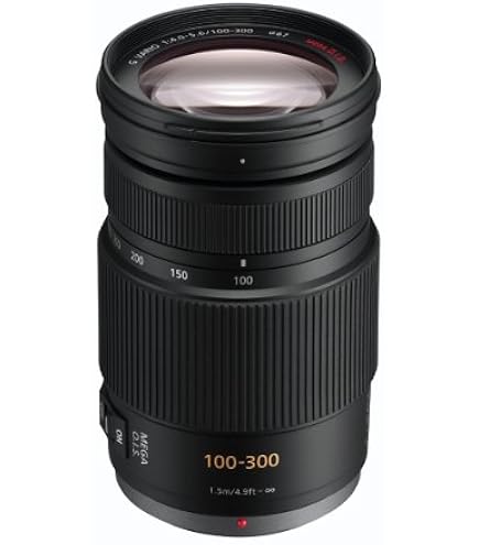 Panasonic LUMIX G II Vario Lens, 100-300MM, MIRRORLESS Micro Four