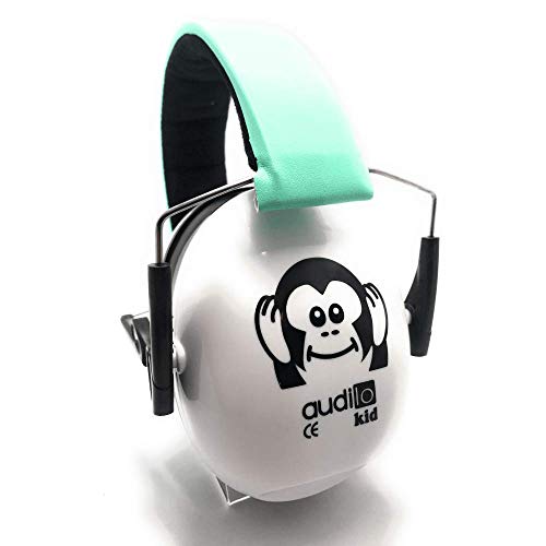 Casque Antibruit,Audilo Kid Bleu Turquoise Classique/Casque de Réduction du Bruit/SNR 27db/Protection Auditive/Certification CE EN352-1/Pliable et Confortable/Idéal Bricolage,Concentration, Musique