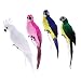 Produktbild Fenteer 4pcs Künstlicher Papagei Vogel Dekovogel Federvogel Dekofigur