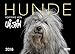 Uli Stein Hunde Portraits 2018 by