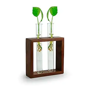 Pepper Agro Beautifull Glass Test Tube Plant Pot with Wooden Stand | Plant Container for Water Plants | Table, Office, Indoor Decor