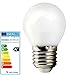 Produktbild Bioledex TEMA LED Birne E27 5W 420Lm Warmweiss
