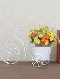 YUEQISONG Planta Atre Estilo de Bicicleta Estante de Maceta de Hierro para...