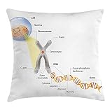 print on two sides. VVIANS Educational Throw Pillow Cushion Cover by, Cell Chromosome DNA Gene Genome Study Double Helix Evolution Science Research, Decorative Square Accent Pillow Case, Multicolor20X20 Inch