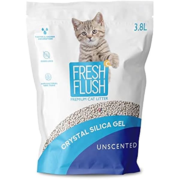 dollarama cat litter