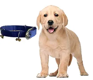 S.Blaze Blue Colour Nylon 1/2inch Bell Collar Chain Belt for Puppies, Dogs and Cats.