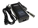 Charger for Battery 24 V, 10 AH Lithium Ion for Pedelec E-Bike, new, for Electric Bicycle / E, Cyco Prophete