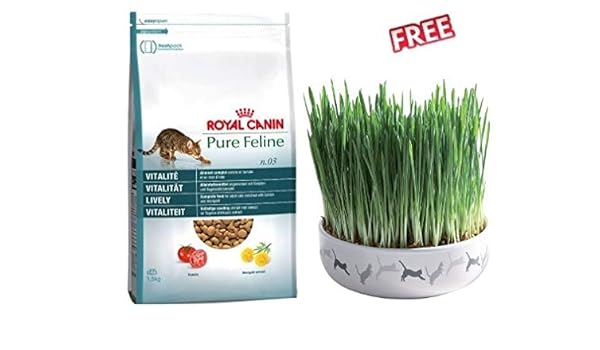 royal canin vitality
