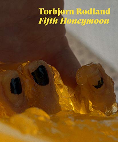 Livres Couvertures de Fifth Honeymoon