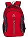 Elegant Stylish Casual Backpack - Cosmus Maxwell Travel Backpack Bag - 35L Polyester Daypack - RED+L.GREY RS.899.00