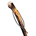 Produktbild Stock-Fachmann Wanderstock Wurzelmann Kastanie geschnitzt, Braun, M