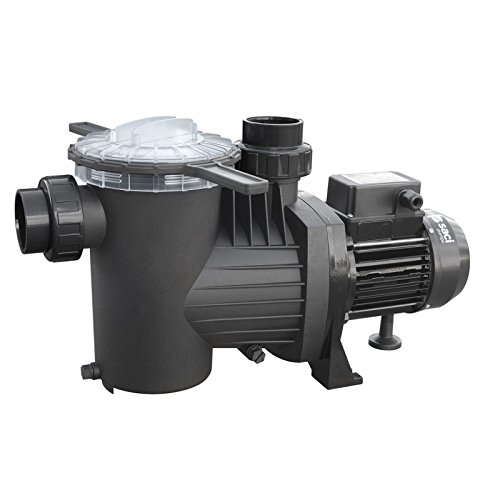 pompe piscine saci winner