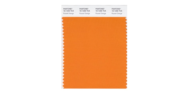 Pantone Smart Swatch 16 1255 Russett Orange Amazon Co Uk Diy Tools