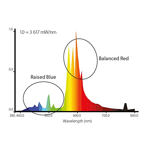LUMii 600w SunBlaster HPS Lamp - 2