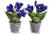 Produktbild Flora-Seta GmbH künstliches Blumen-Arrangement im Glas (2 Stück) (Blau, Enzian)