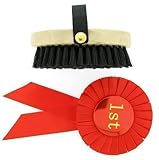 Rocking Horse Brush and Red 1st Rosette from ROCKING RANCH