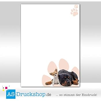 Motiv Briefpapier (Tiere-5042, DIN A4, 100 Blatt). Einseitig bedrucktes ...