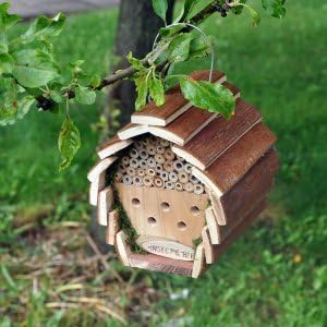 Hanging wooden insect &amp; bee hotel house box nest bug ladybird garden - Natural fir wood plus bamboo cane construction