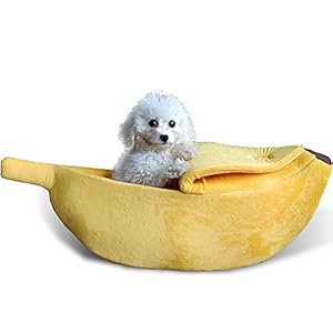 mi ji Plátano Linda Forma de Gato Habitación con Cama casa del Animal doméstico Suave Abrazo del Gato Cama Preciosa Alimentos para Mascotas de los Gatos Gatitos Cama, Amarillo para Mascotas