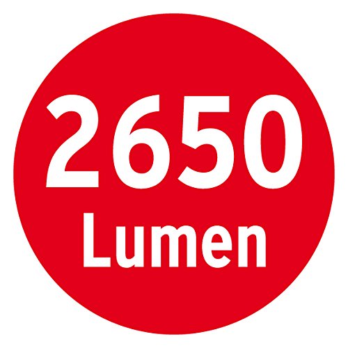 Brennenstuhl Compact LED-Leuchte / LED Strahler mit 30W Leistung und 5m Kabel (Baustrahler für außen und innen, ideal als Arbeitsleuchte) Farbe: grau - 5