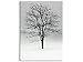 Produktbild Premium Glasbild EG4705000707 DEKO 50 x 70 cm SCHNEEZAUBER BAUM WHITE / Wandbild hinter 4mm starker Sicherheitsglas-Scheibe / inkl. montierten Aufhängern und Abstandhalter für eine edle TIEFENWIRKUNG