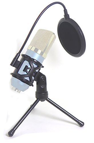 Supporto per microfono da scrivania con supporto antiurto e filtro antipop a rete doppia, pieghevole e regolabile, supporto per microfono con diametro da 2,5 cm a 4,4 cm.