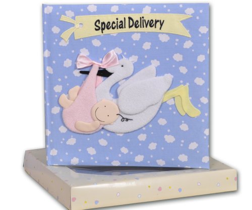Baby Boy Record Book & Keepsake Box - Special Delivery