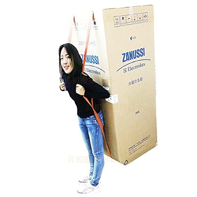 Home-Neat 1 Personne Sangle de Déménagement Levage, Ceinture pour Meubles/ Équipement/ Réfrigérateur / Appareil