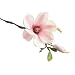 Produktbild Moonuy,Falsche Blüte, künstliche gefälschte Blumen, Valentinstag Dekoration, Blatt Magnolie Blumen Hochzeit Bouquet Party Home Decor, Party Dekoration Hochzeit (B)