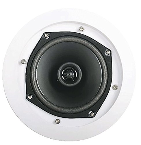 BST Pro AP1410 - Altavoz de techo