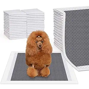 REHTRAD Pack of 40 Pee Pads for Dogs?Pet and Puppy Training Pads?Water Proof Dog Pee pad (Pack of 40, Bamboo Charcoal: 60 x 60cm)