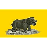 Hippopotamus (Leinwand)