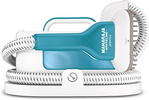 Maharaja Whiteline GS-100 1600-Watt Garment Steamer (White/Blue)