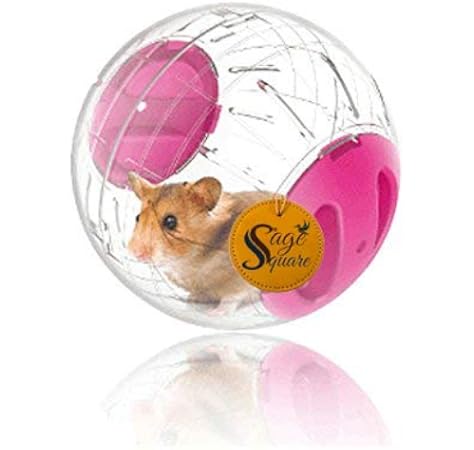 black labrador black