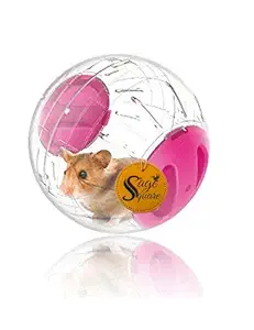 Sage Square 18.5 cm Transparent Running Cum Jogging Cum Exercise Ball for Hamster / Dwarf / Gerbil / Mice / Mouse