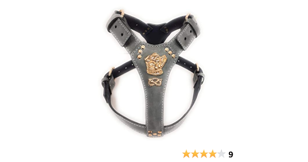 staffy collars amazon