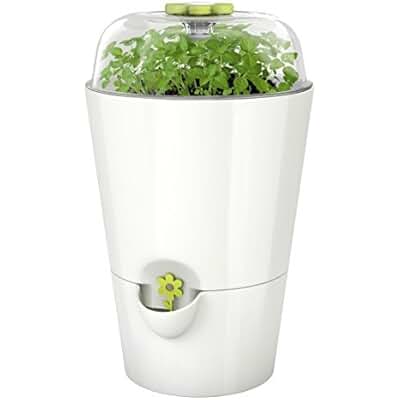 Suchergebnis auf Amazon.de für: Über 200 EUR - Blumen & Pflanzen: Garten