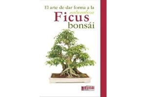 MISTRAL BONSÁI Guía Ficus bonsái