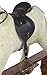 LUXURIOUS VERY LARGE Rocking Horse "SUN II" from MJMARK