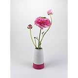 Beton Vase